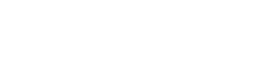 Saleslogic White Only1
